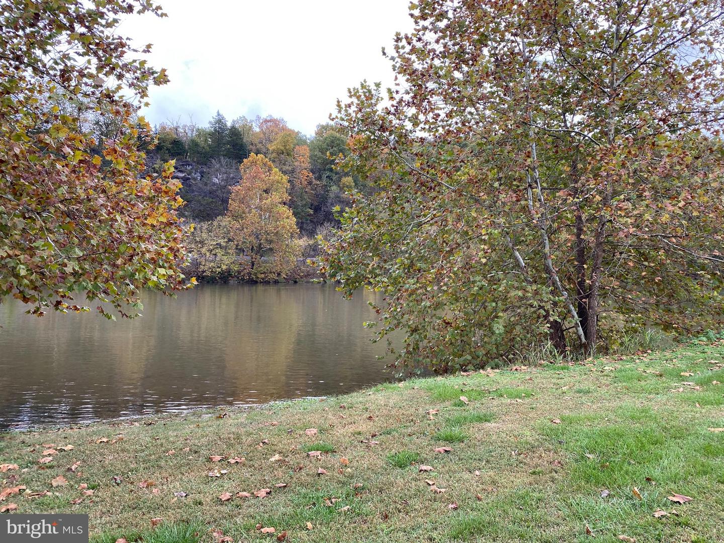 581 Poca Bella DRIVE