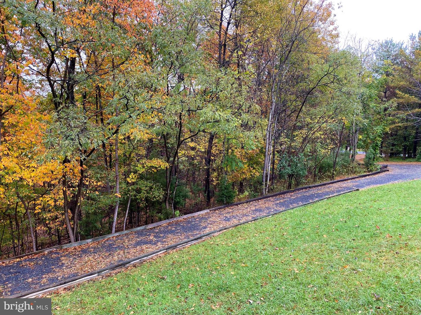581 Poca Bella DRIVE