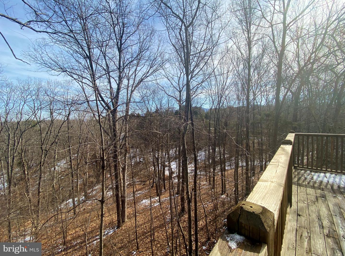 581 Poca Bella DRIVE