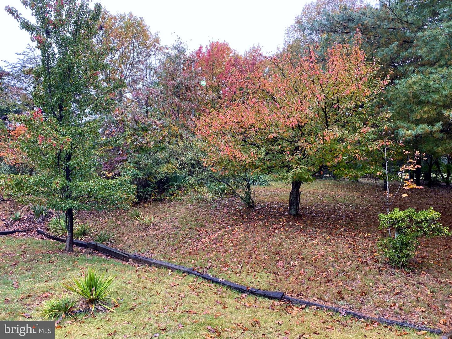 581 Poca Bella DRIVE