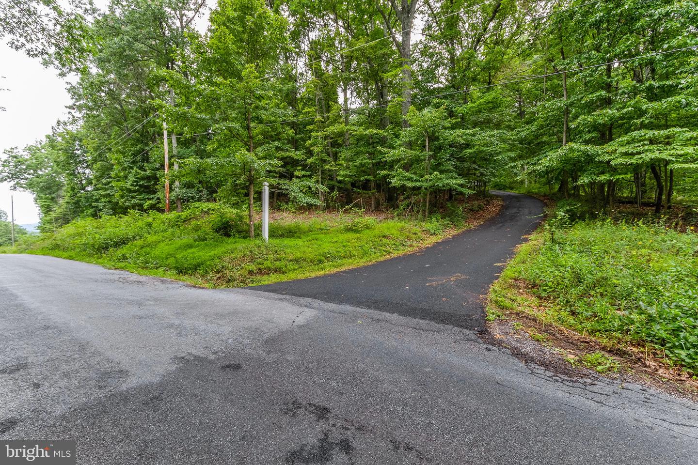 1009 Hillandale ROAD