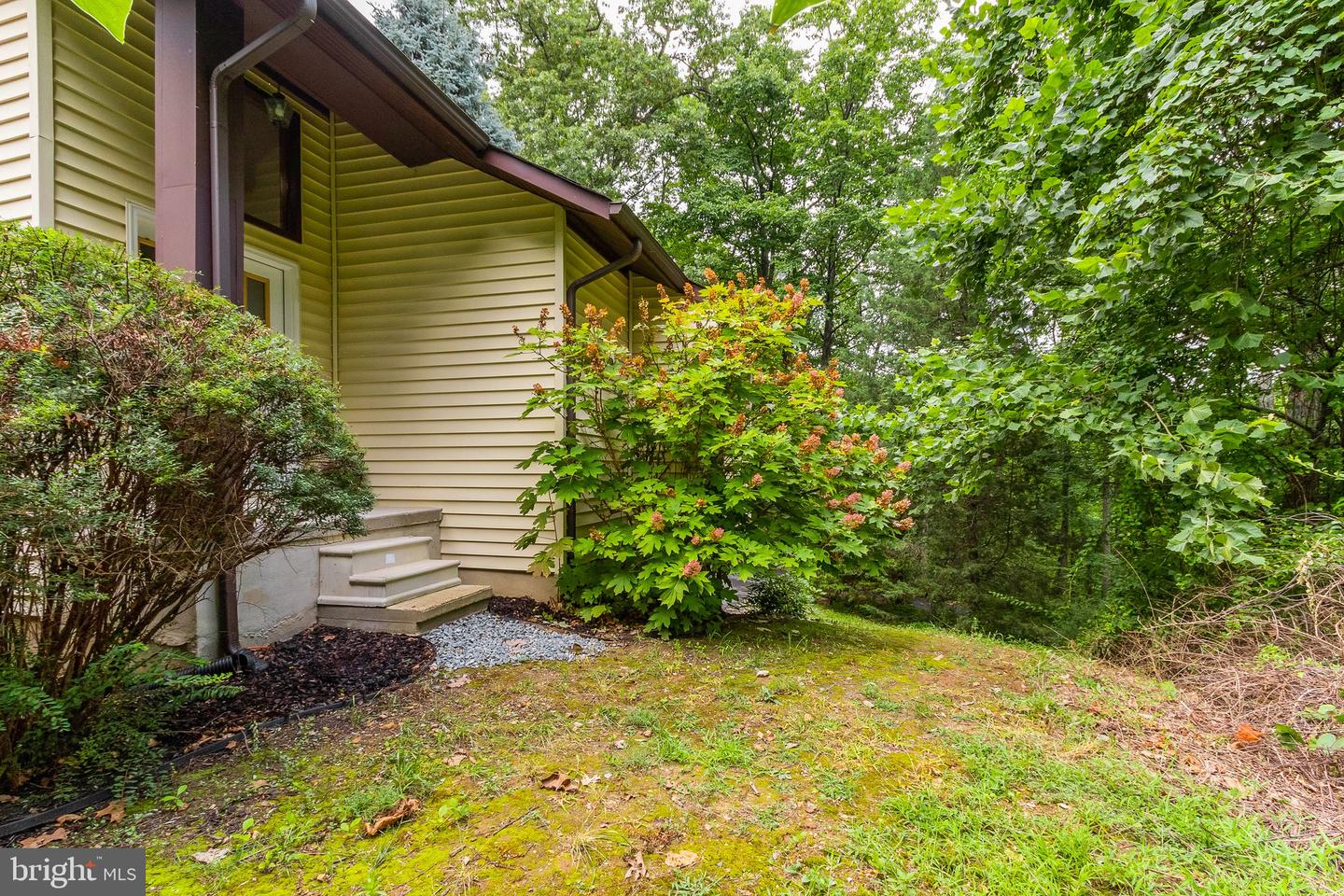 1009 Hillandale ROAD