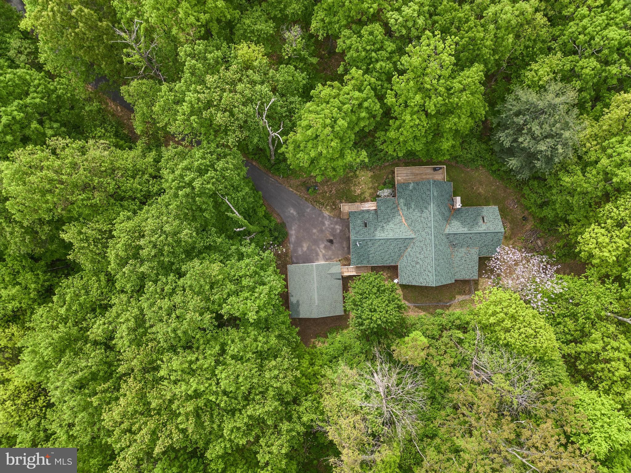 424 Thaddeus Ln