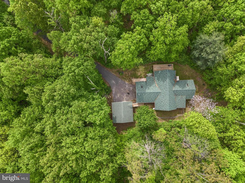 424 Thaddeus Ln