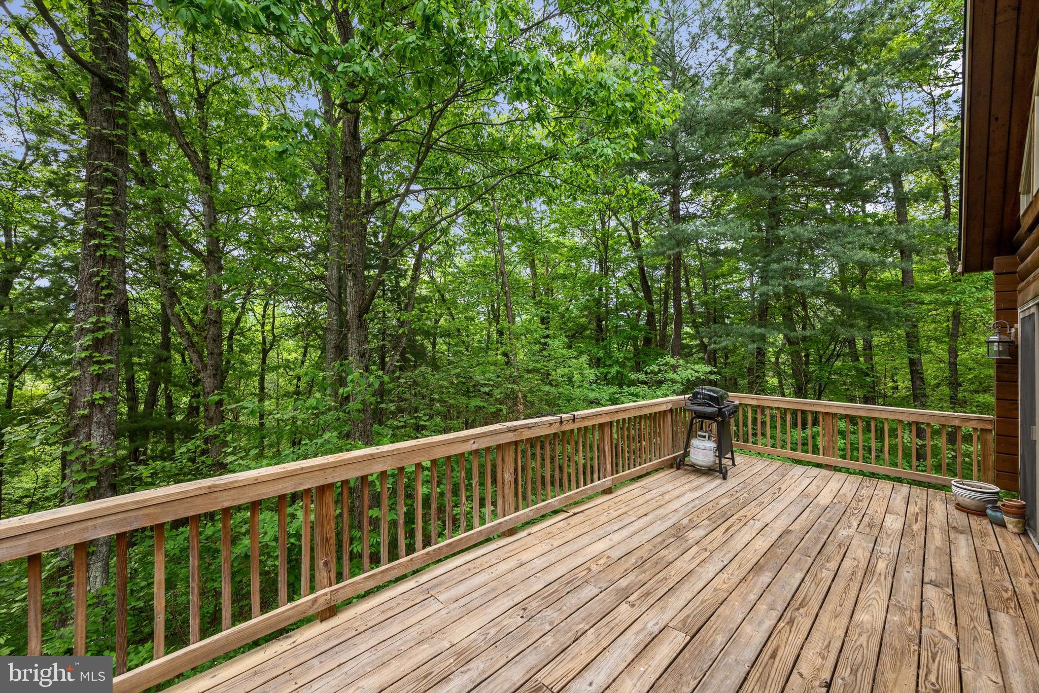 424 Thaddeus Ln