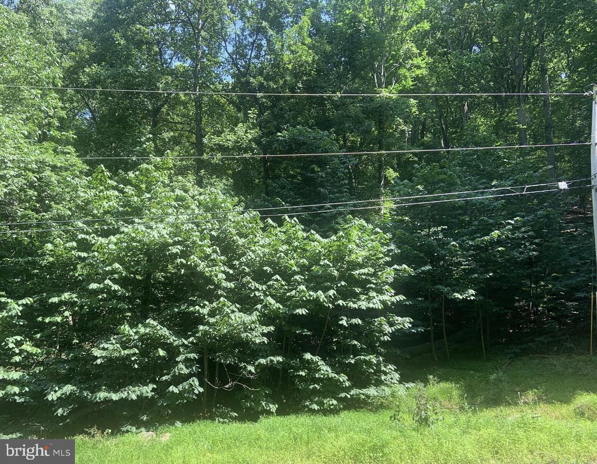 Lot 51 Red Bud Ln