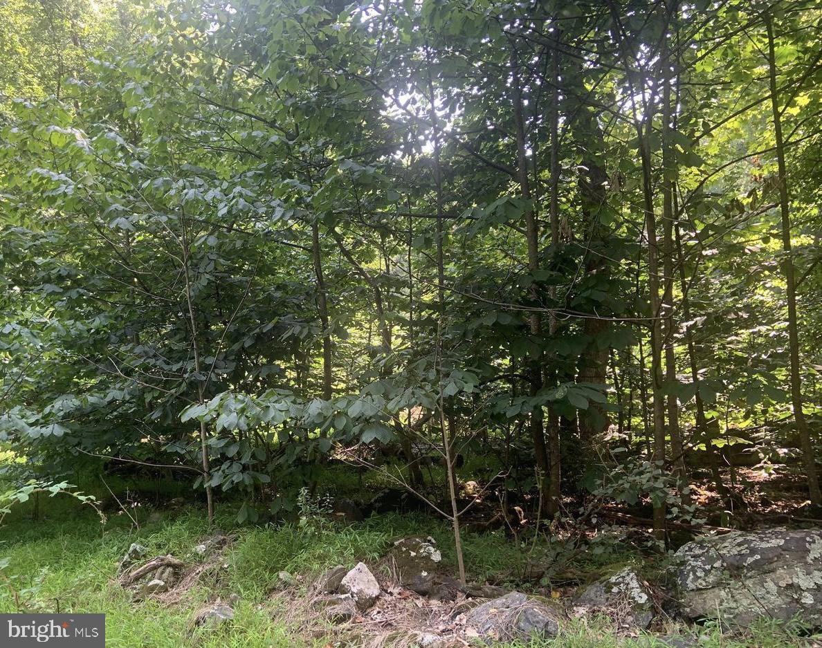 Lot 51 Red Bud Ln