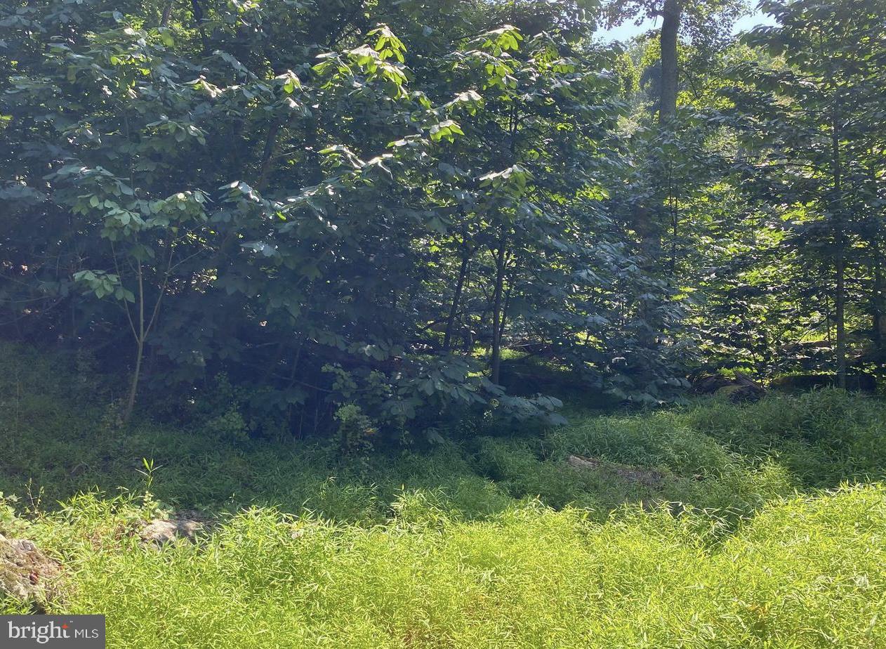 Lot 51 Red Bud Ln