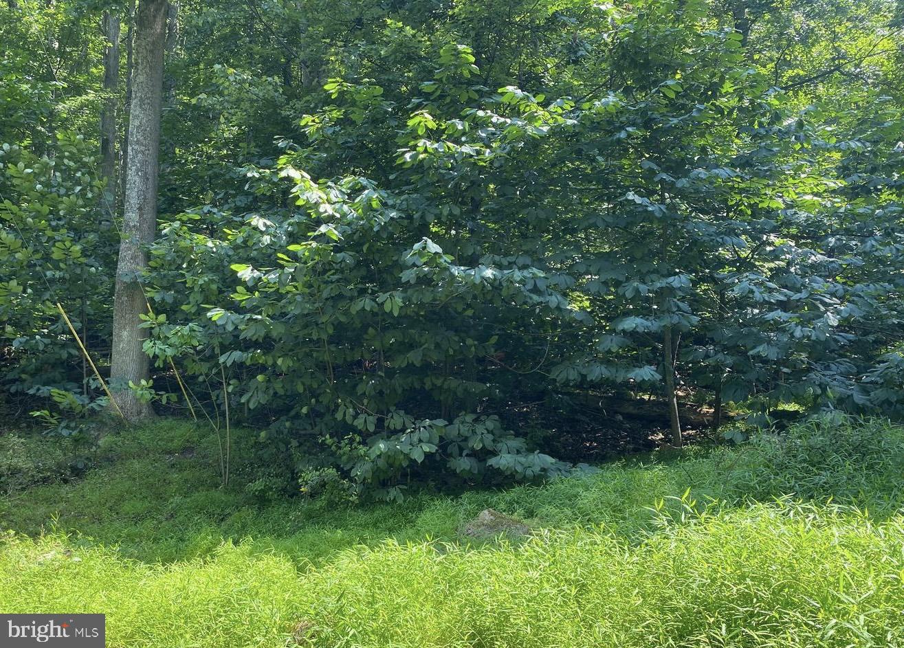 Lot 51 Red Bud Ln