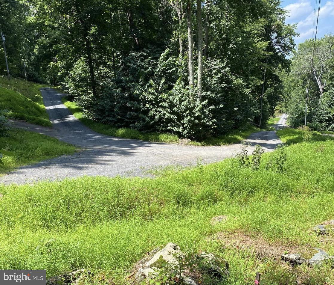 Lot 51 Red Bud Ln