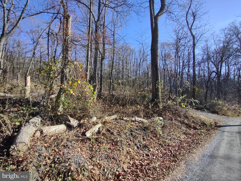 SOURCE LANE