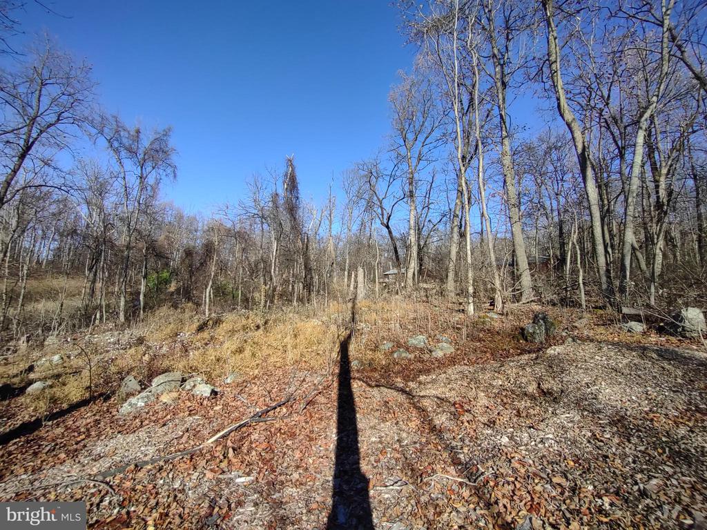 SOURCE LANE