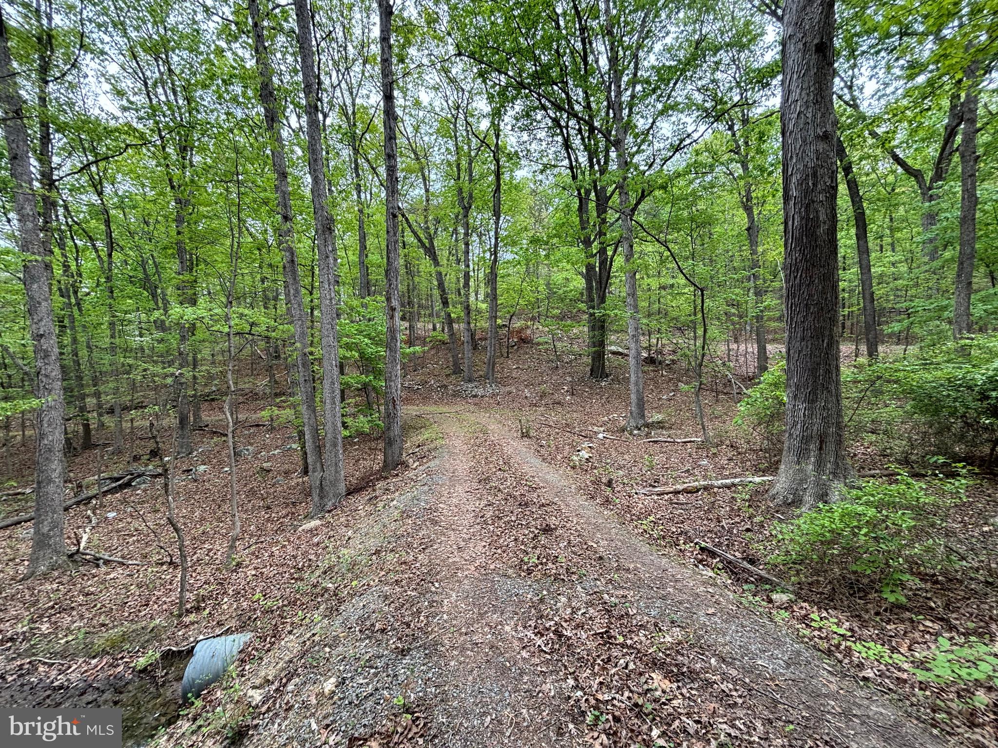 81 Brandy Rd