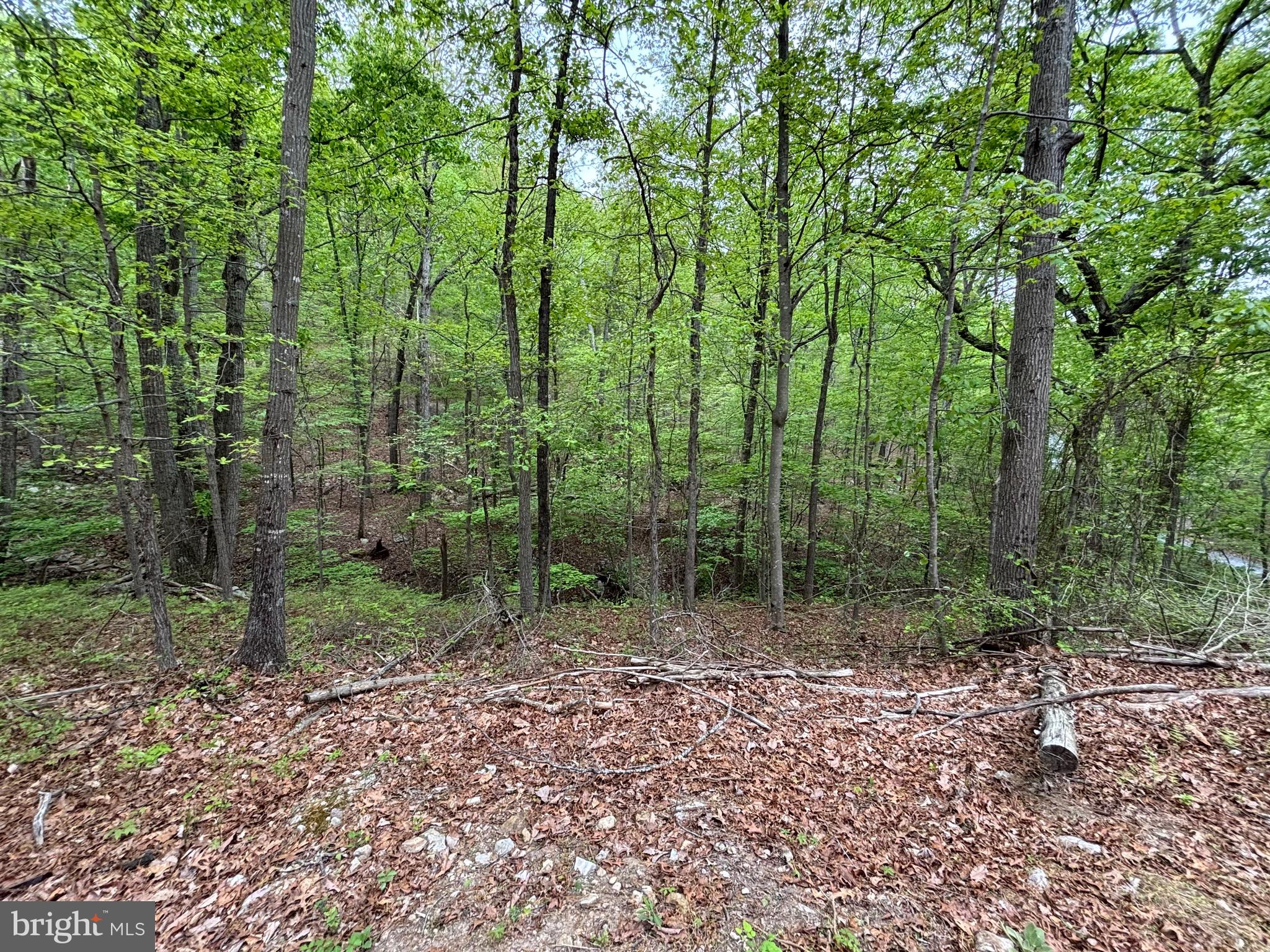 81 Brandy Rd