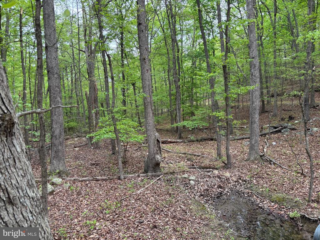 81 Brandy Rd