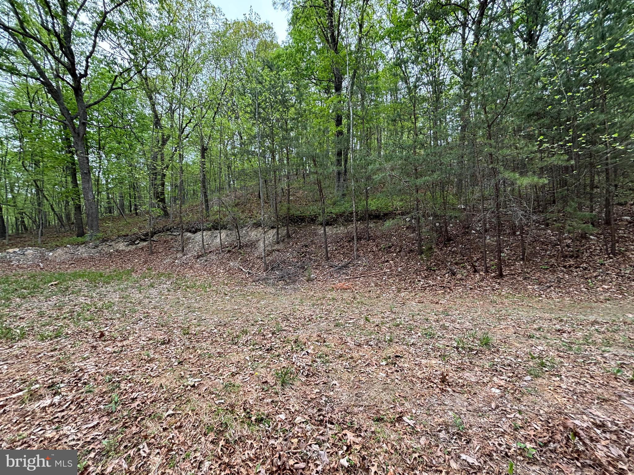 81 Brandy Rd