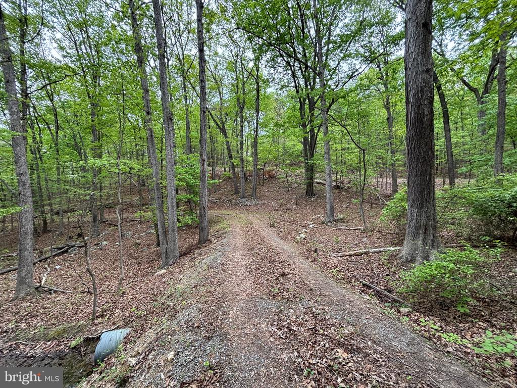 81 Brandy Rd