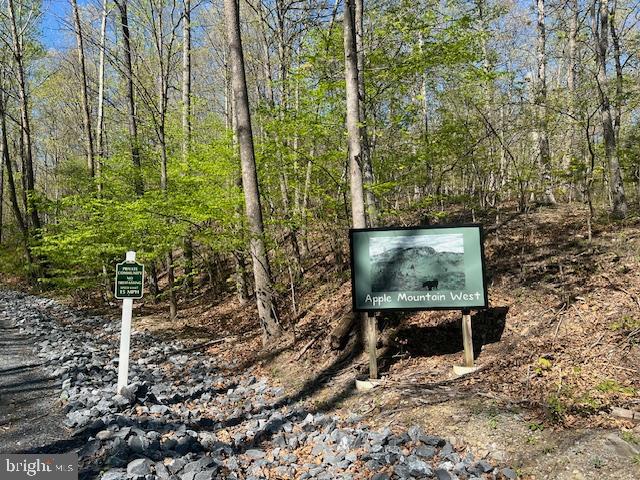 81 Brandy Rd