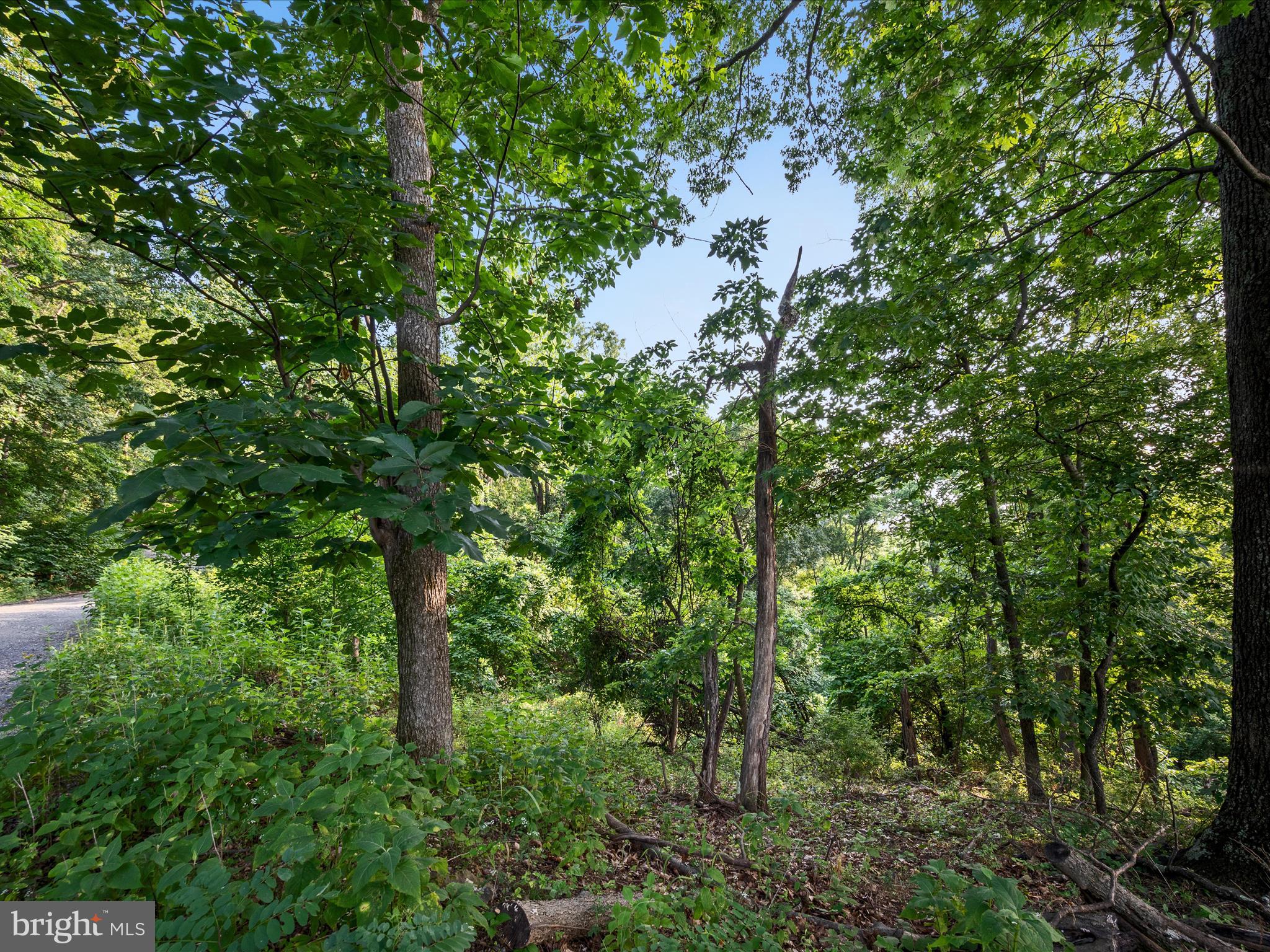 Lot 25 DOOM PEAK ROAD