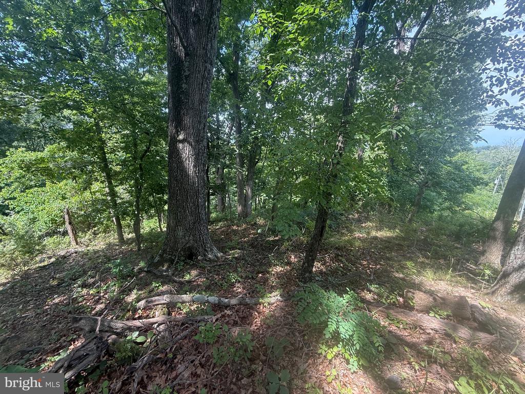 Lot 25 DOOM PEAK ROAD