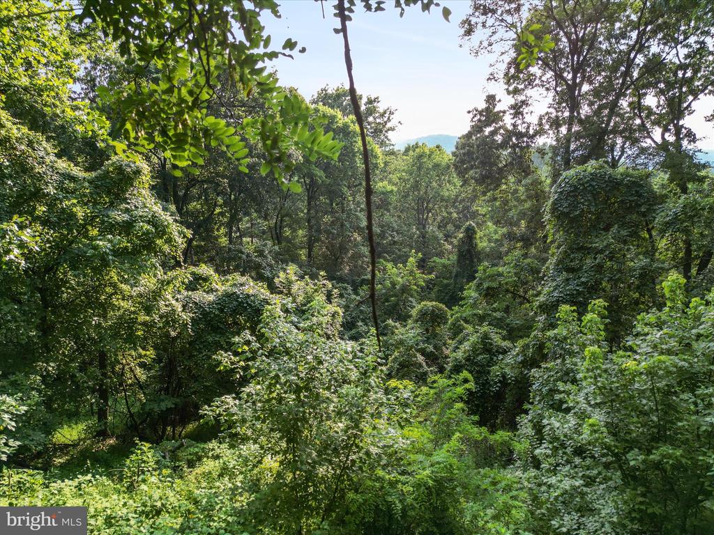 Lot 25 DOOM PEAK ROAD