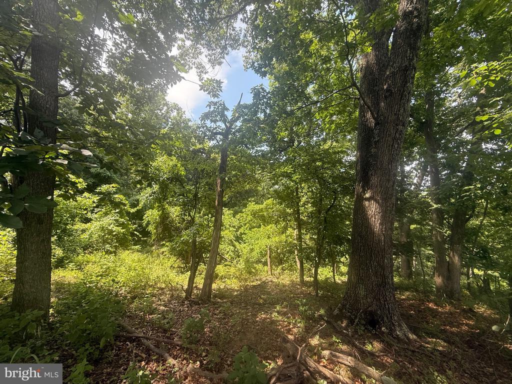 Lot 25 DOOM PEAK ROAD