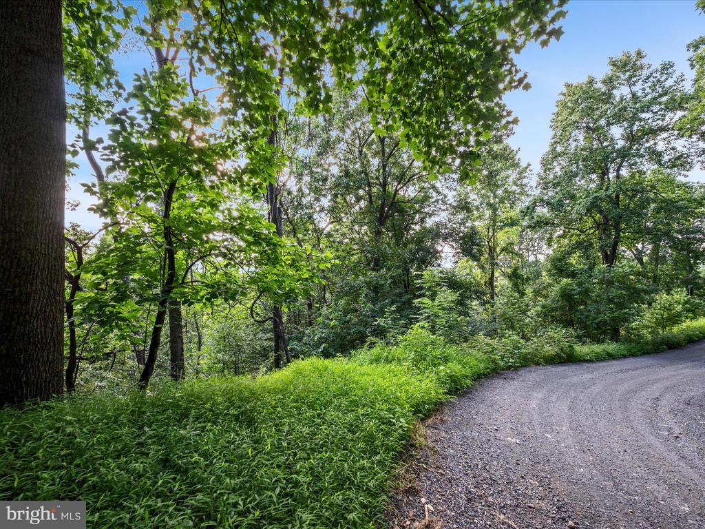 Lot 25 DOOM PEAK ROAD