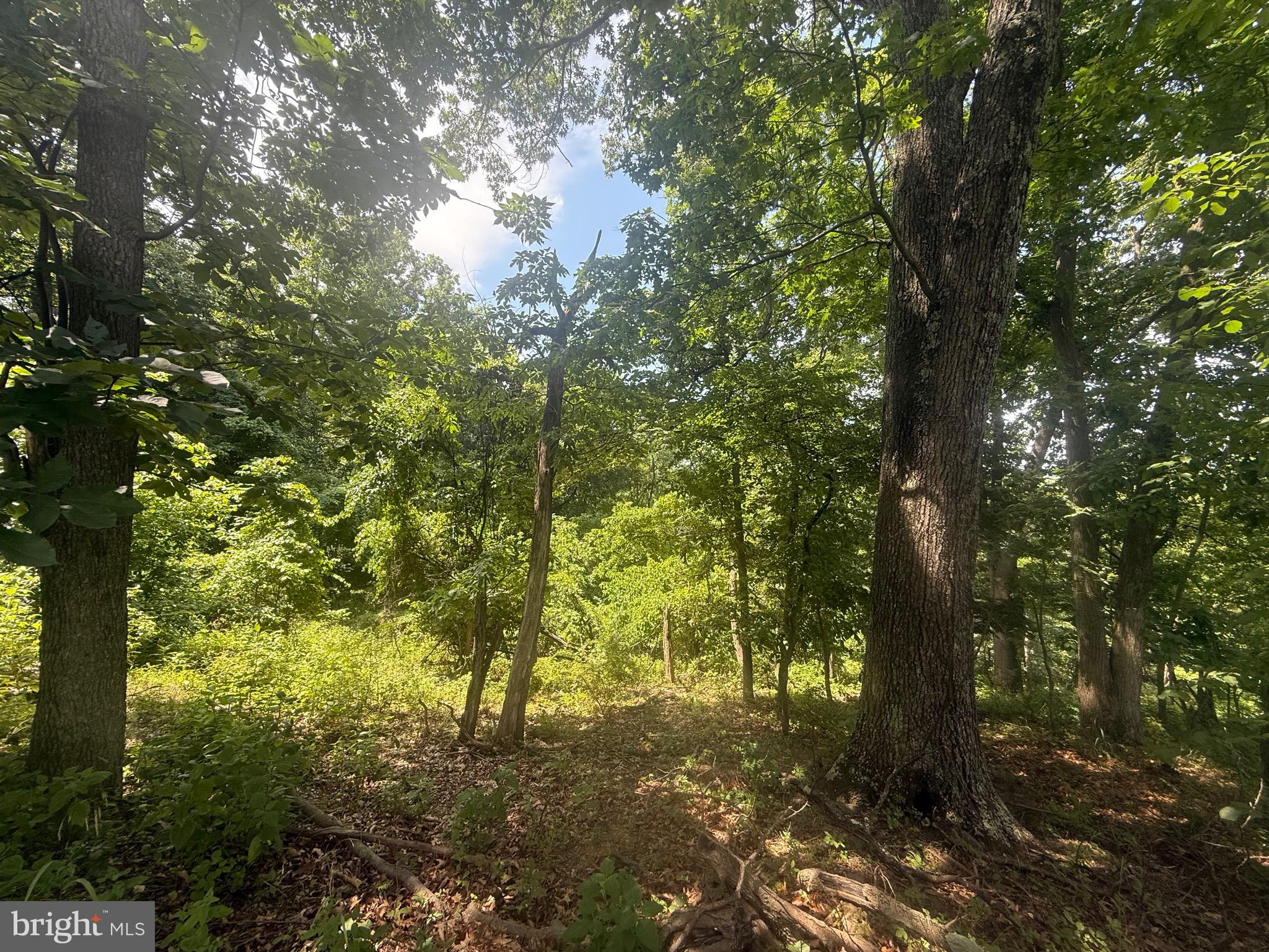 Lot 25 DOOM PEAK ROAD