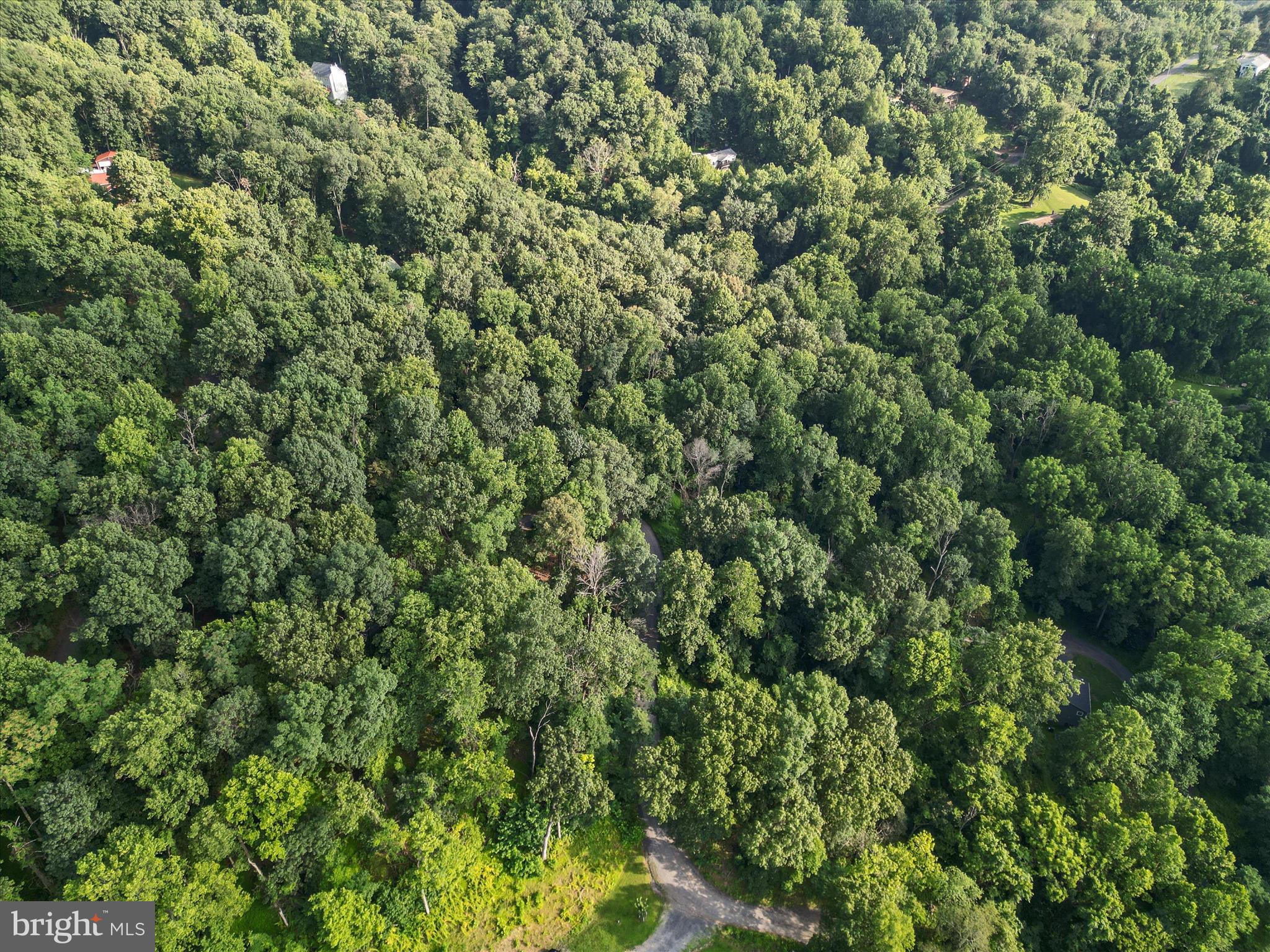Lot 25 DOOM PEAK ROAD