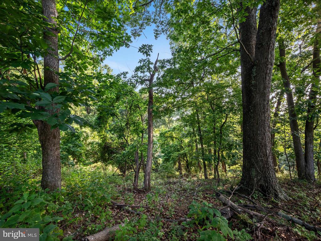 Lot 25 DOOM PEAK ROAD