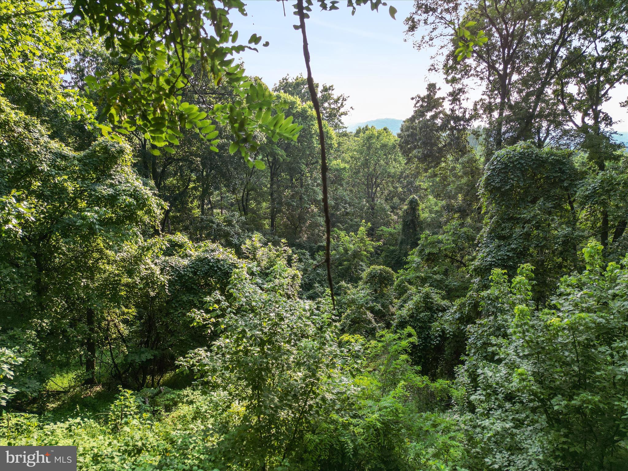 Lot 25 DOOM PEAK ROAD