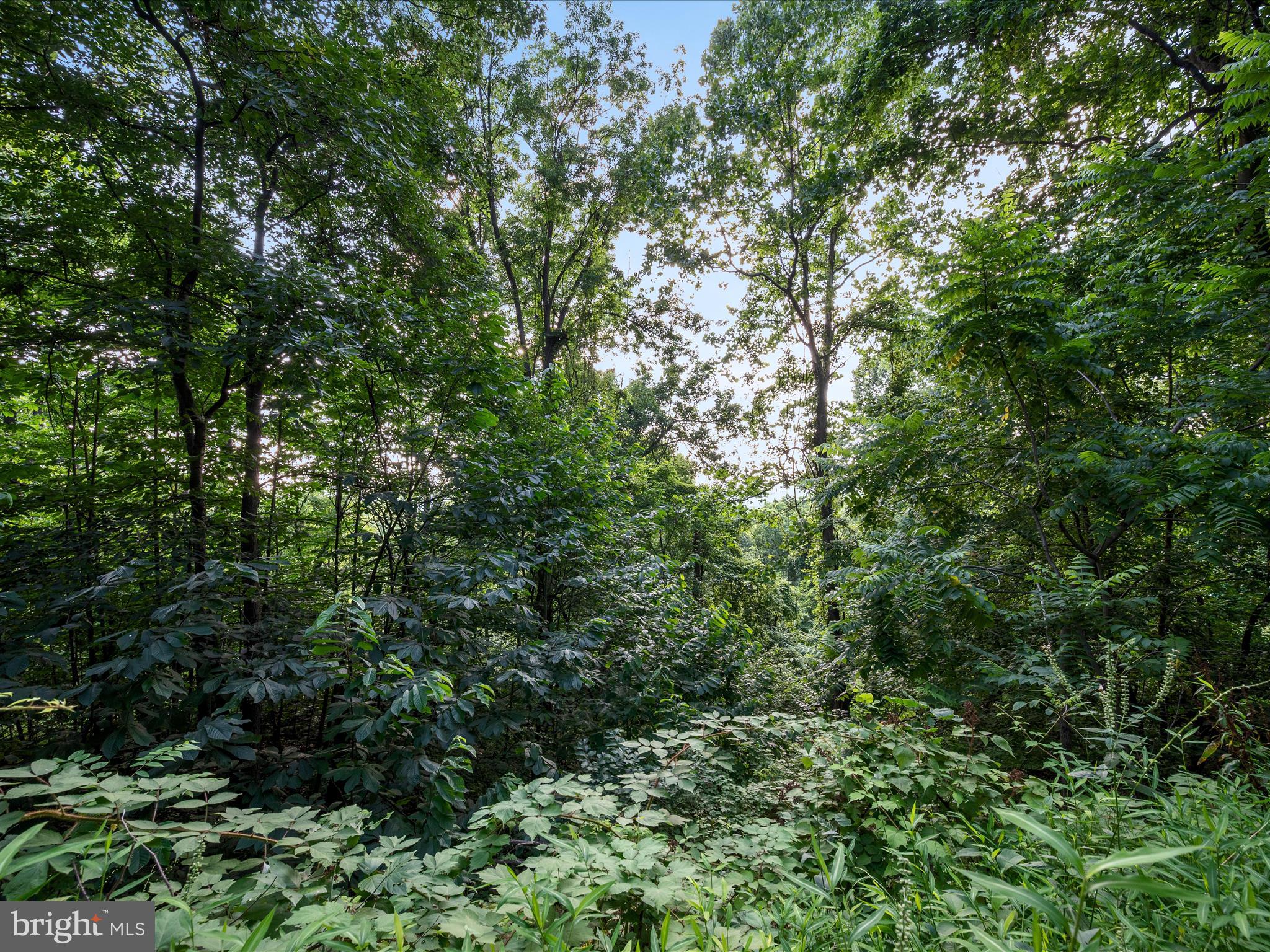 Lot 25 DOOM PEAK ROAD