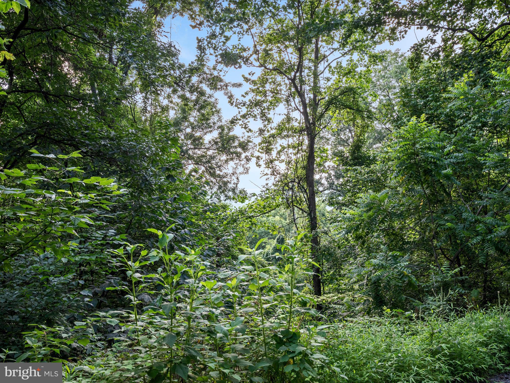 Lot 25 DOOM PEAK ROAD