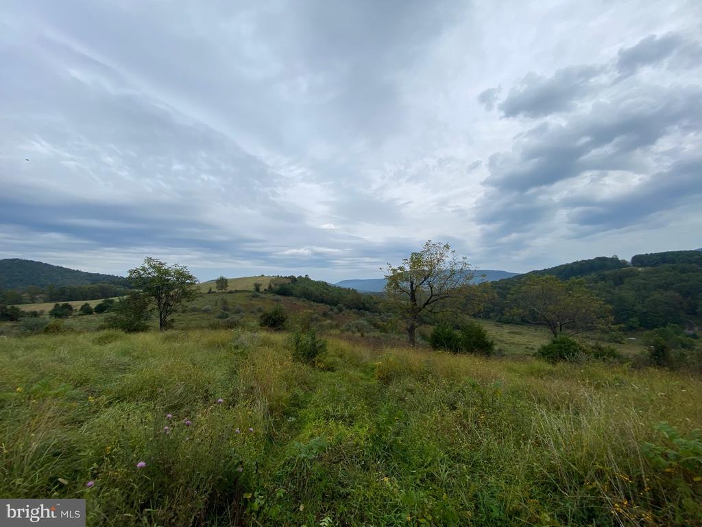 GOONEY MANOR LOOP