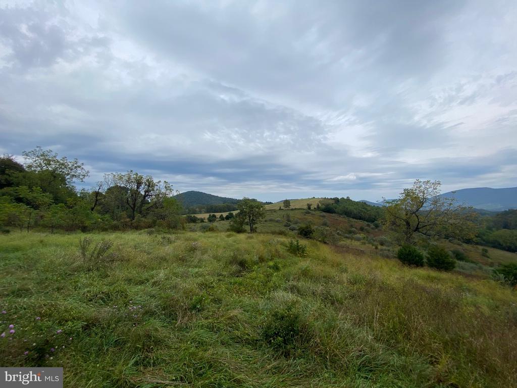 GOONEY MANOR LOOP