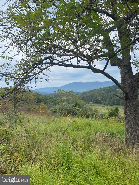 GOONEY MANOR LOOP