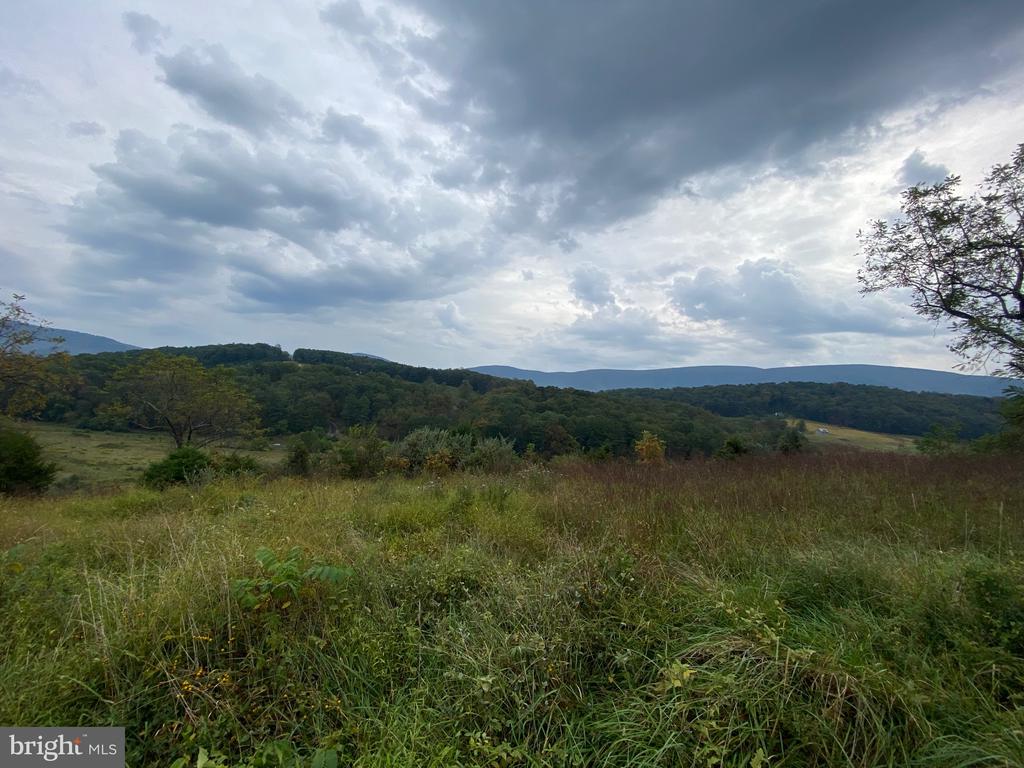 GOONEY MANOR LOOP