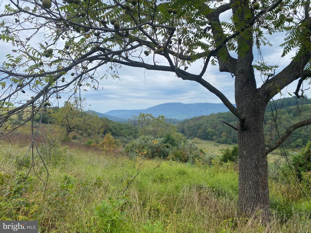 GOONEY MANOR LOOP
