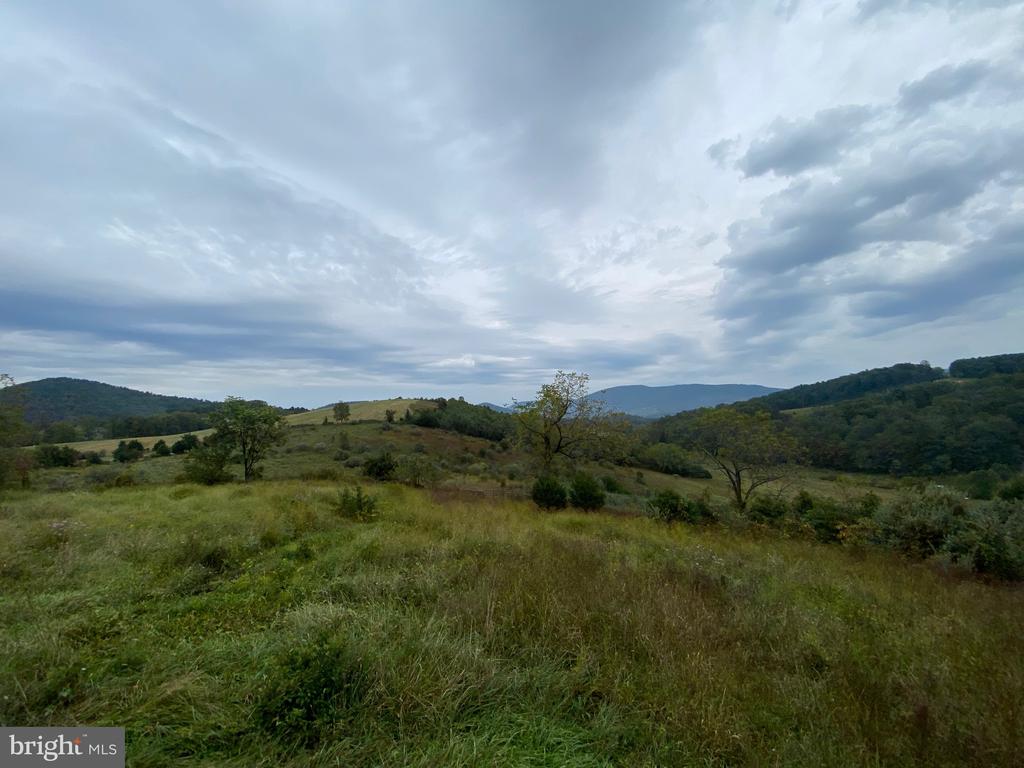 GOONEY MANOR LOOP