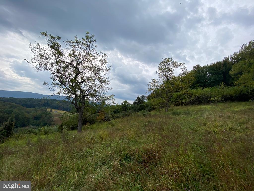 GOONEY MANOR LOOP