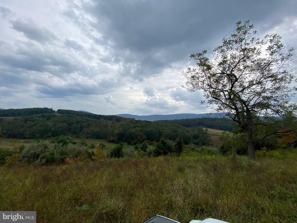 GOONEY MANOR LOOP