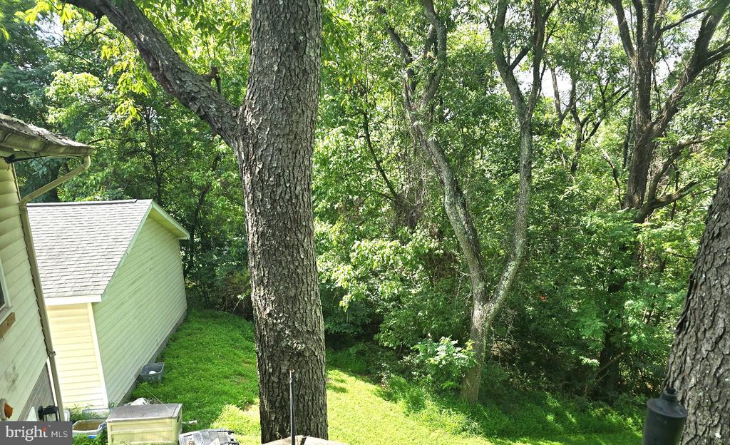 186 APPLE ORCHARD DRIVE