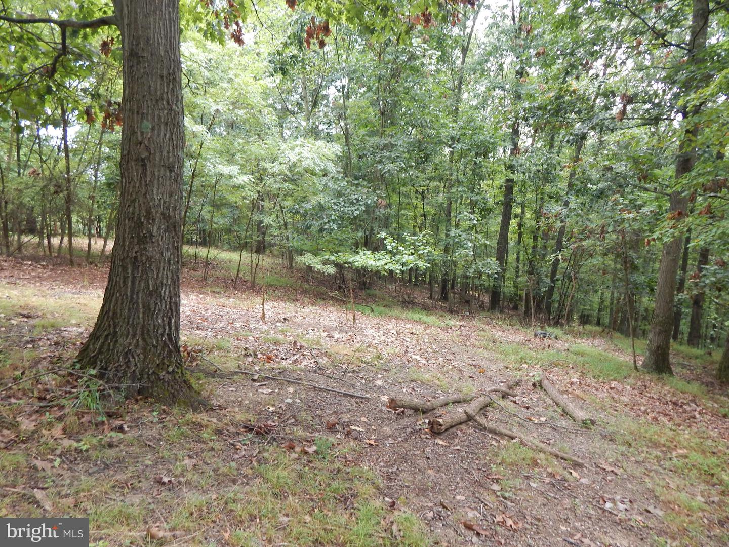 425 Clarmont DRIVE