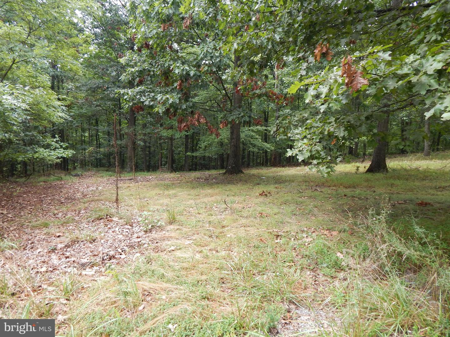 425 Clarmont DRIVE