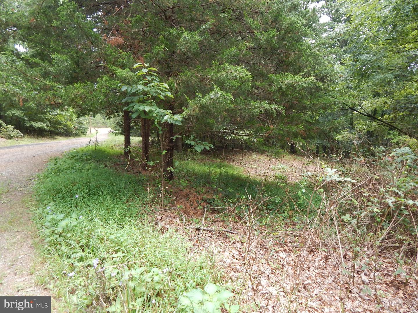 425 Clarmont DRIVE