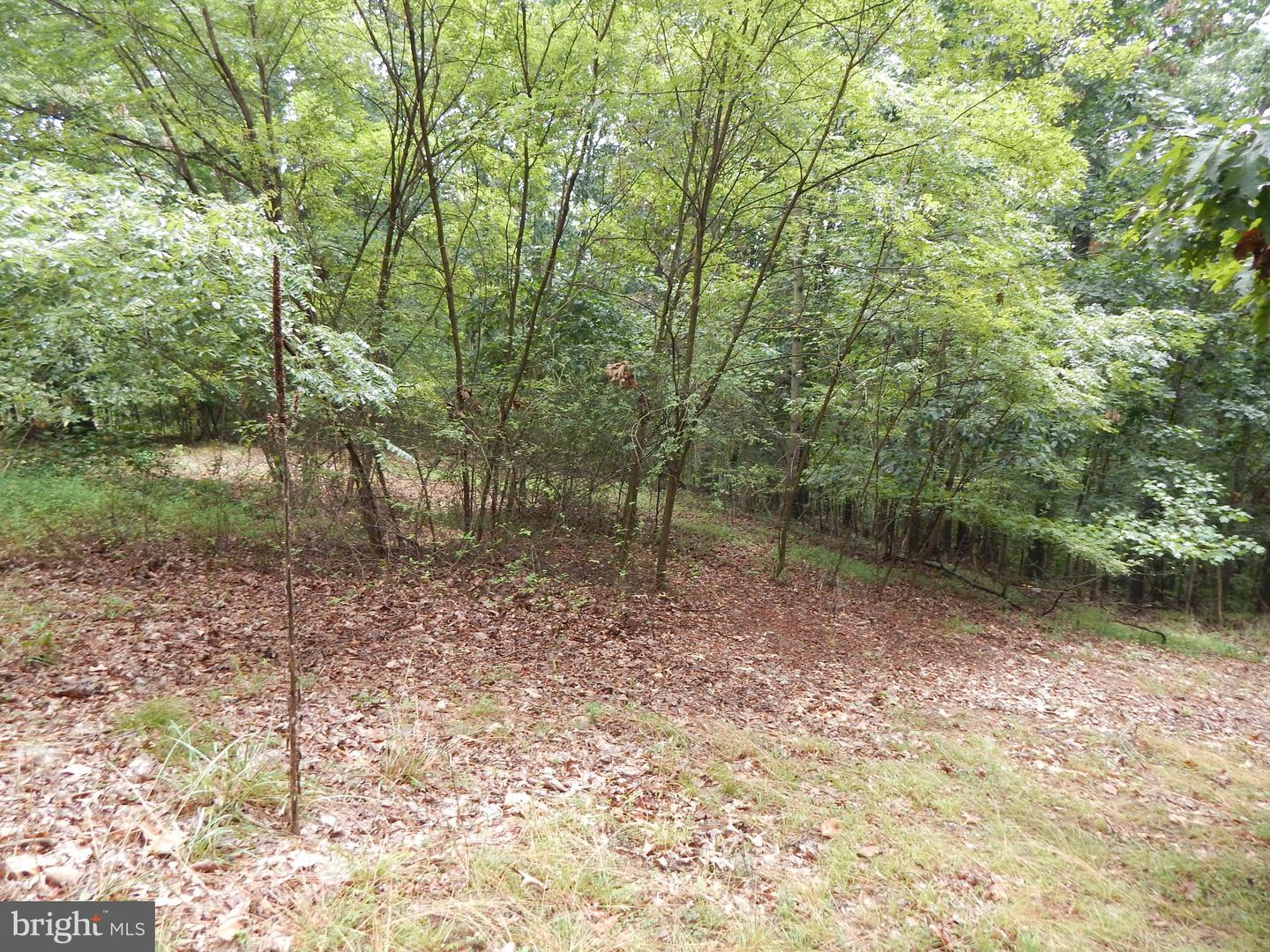 425 Clarmont DRIVE