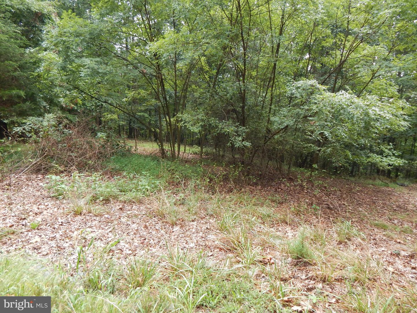 425 Clarmont DRIVE