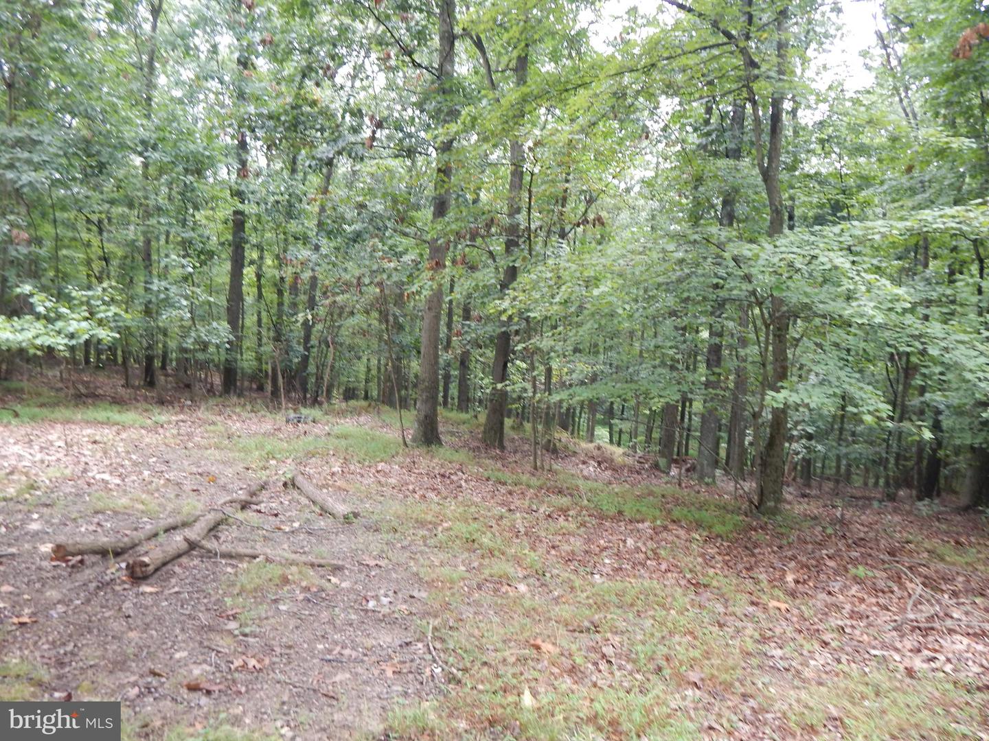 425 Clarmont DRIVE