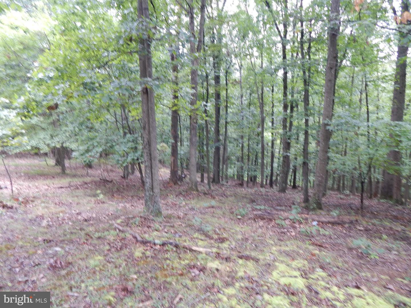 425 Clarmont DRIVE