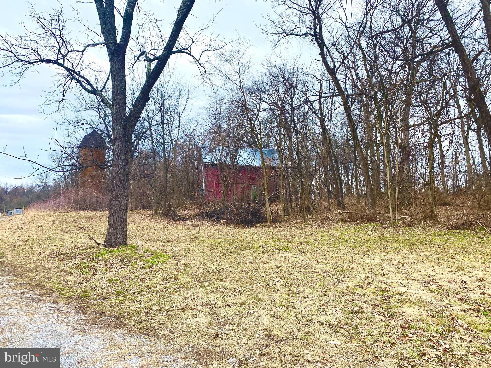 157 Acres Hollis Drive ROAD
